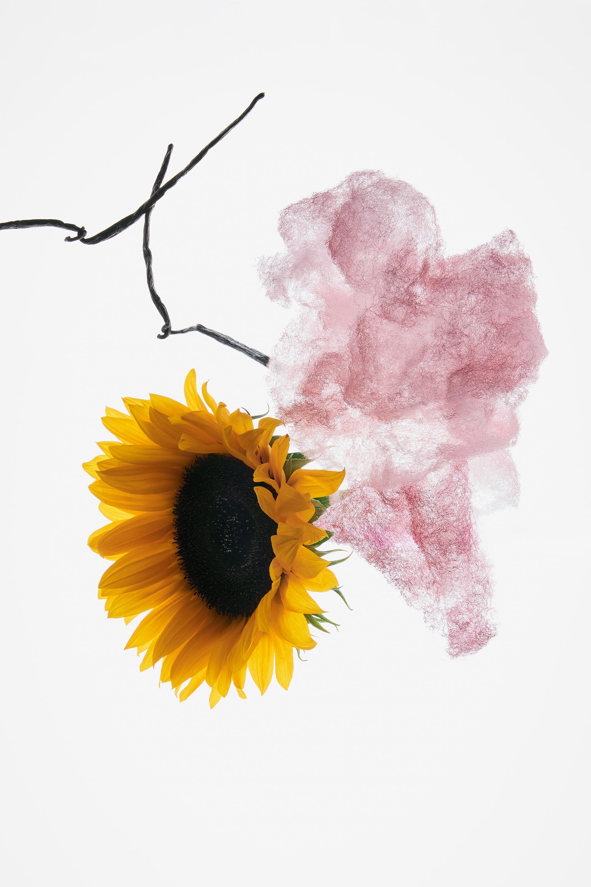 MARSHMALLOW ADDICT EDP 30 ML (1,0 FL. OZ).